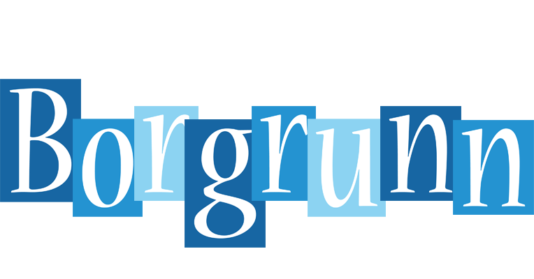 Borgrunn winter logo