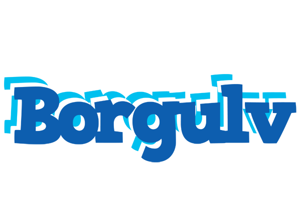 Borgulv business logo