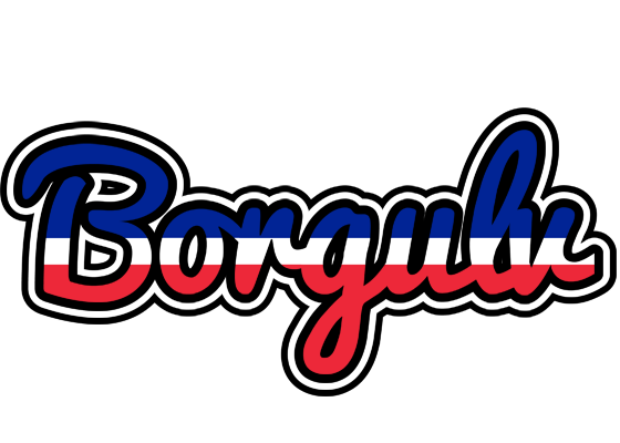 Borgulv france logo