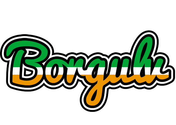 Borgulv ireland logo