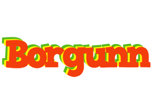 Borgunn bbq logo