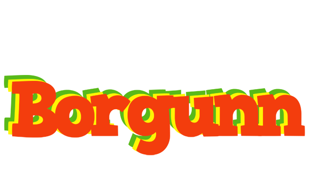 Borgunn bbq logo