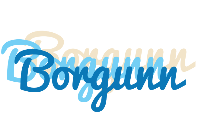 Borgunn breeze logo