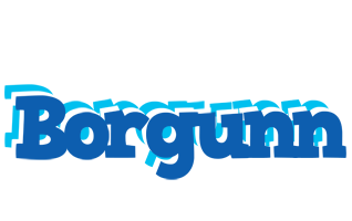 Borgunn business logo