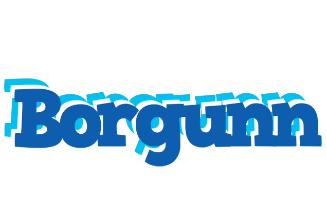 Borgunn business logo