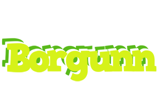 Borgunn citrus logo