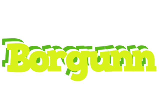 Borgunn citrus logo