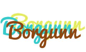 Borgunn cupcake logo