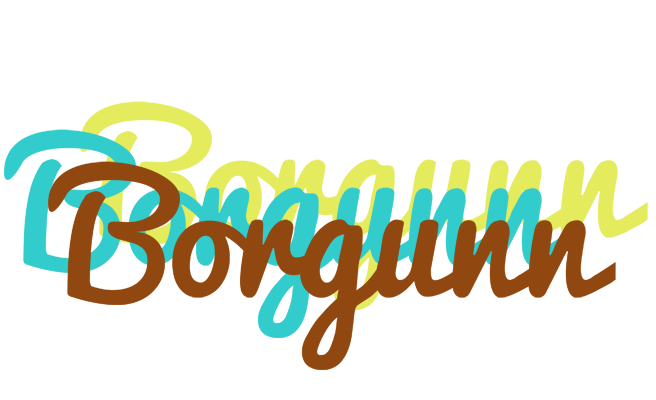 Borgunn cupcake logo