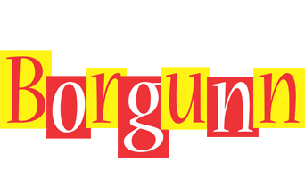 Borgunn errors logo