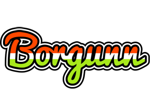 Borgunn exotic logo