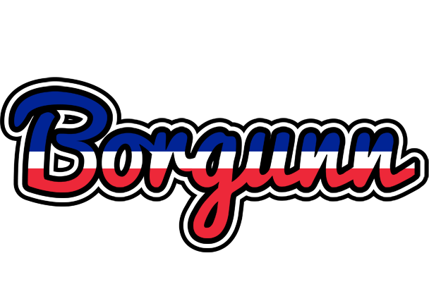 Borgunn france logo