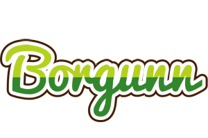 Borgunn golfing logo