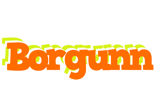 Borgunn healthy logo