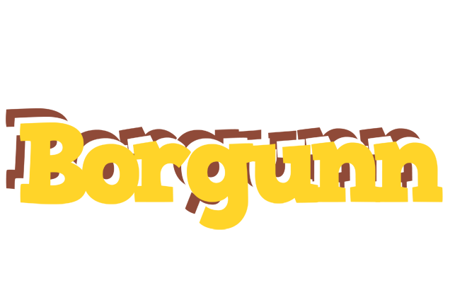 Borgunn hotcup logo