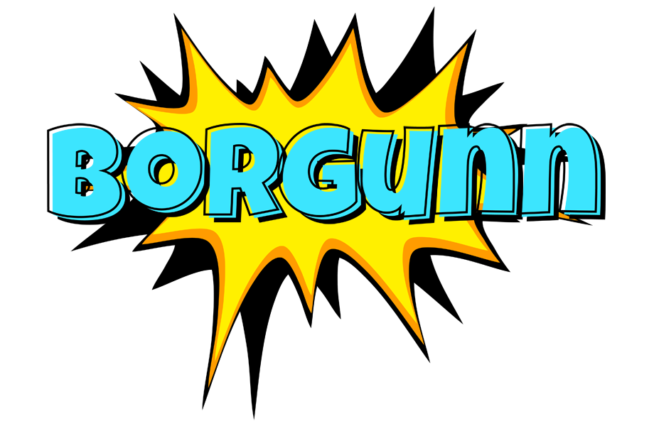 Borgunn indycar logo