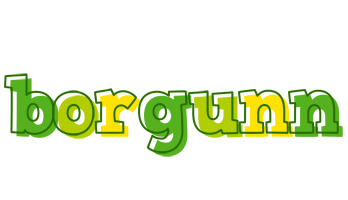 Borgunn juice logo