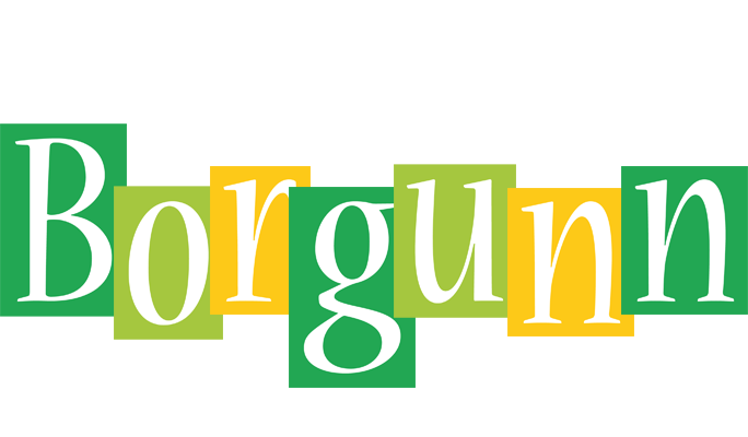 Borgunn lemonade logo