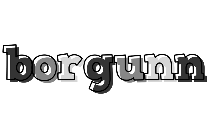 Borgunn night logo