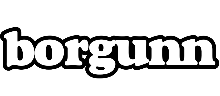 Borgunn panda logo
