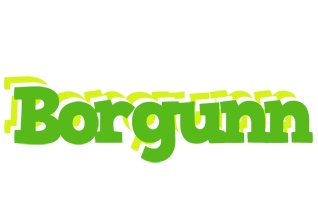 Borgunn picnic logo