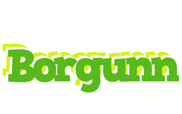 Borgunn picnic logo