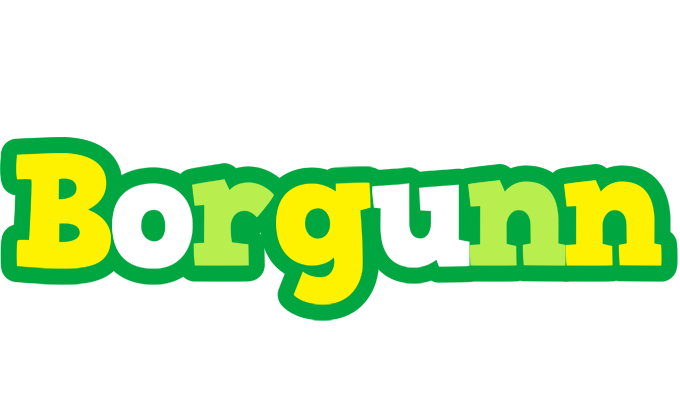 Borgunn soccer logo