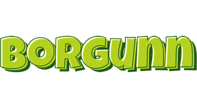 Borgunn summer logo