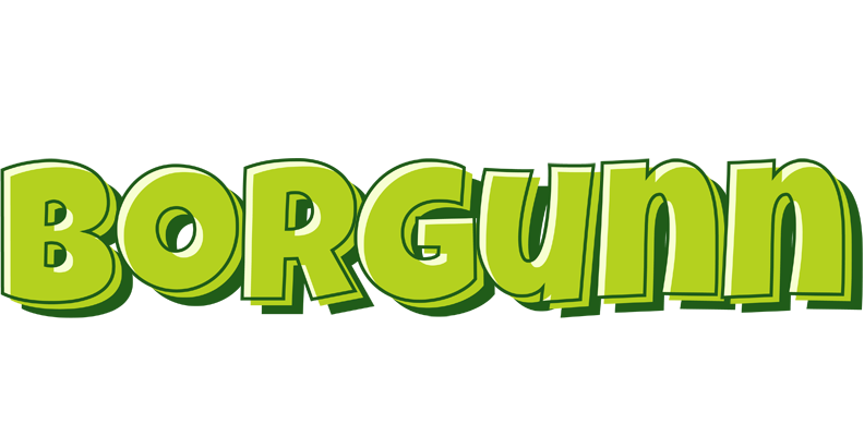 Borgunn summer logo