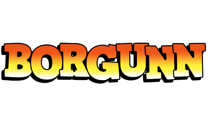 Borgunn sunset logo