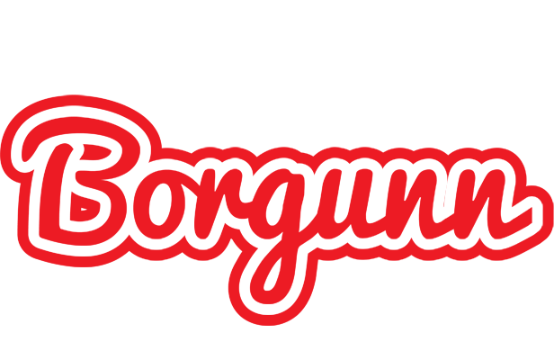 Borgunn sunshine logo