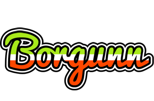 Borgunn superfun logo