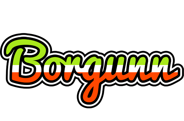 Borgunn superfun logo