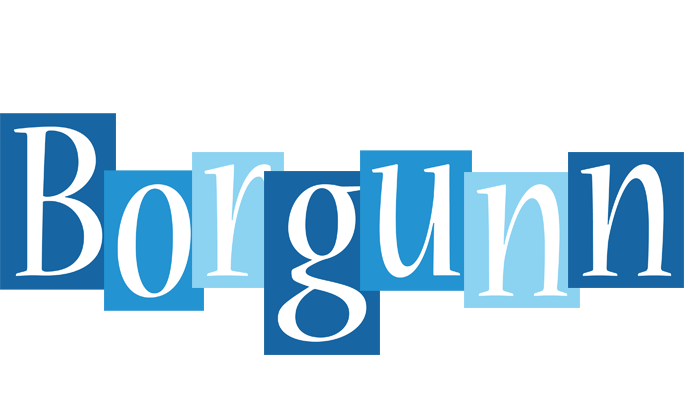 Borgunn winter logo