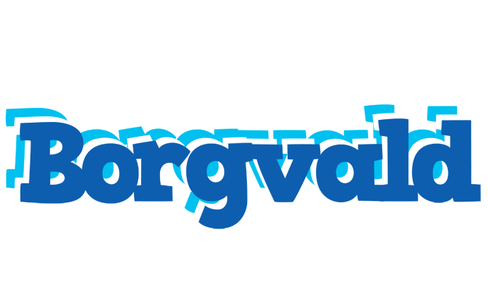 Borgvald business logo