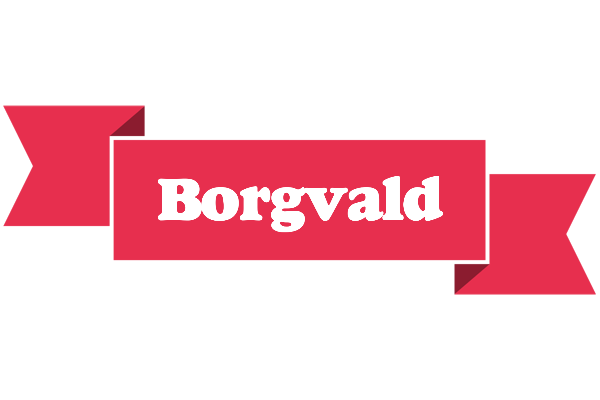 Borgvald sale logo