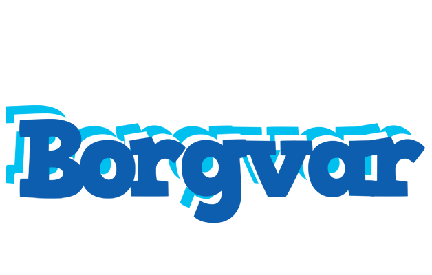 Borgvar business logo