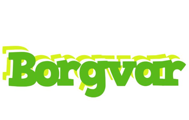 Borgvar picnic logo