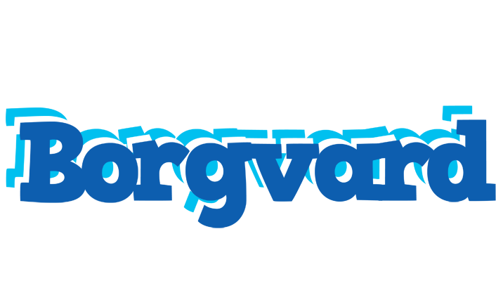 Borgvard business logo