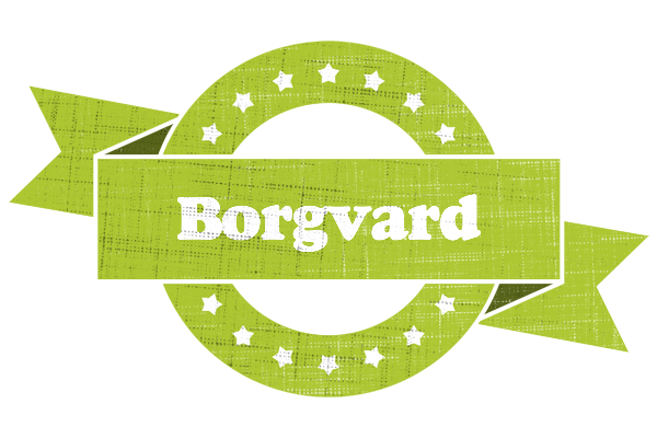 Borgvard change logo