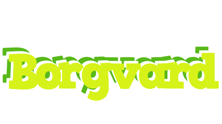 Borgvard citrus logo