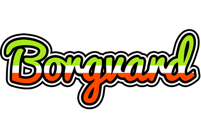 Borgvard superfun logo