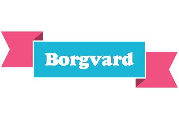 Borgvard today logo