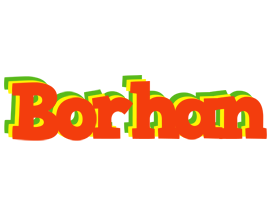 Borhan bbq logo