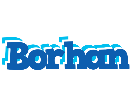 Borhan business logo