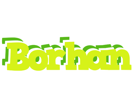 Borhan citrus logo