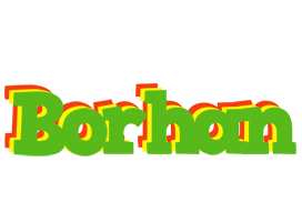 Borhan crocodile logo