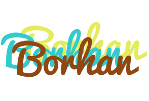 Borhan cupcake logo