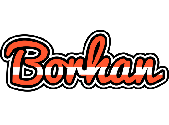 Borhan denmark logo
