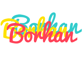 Borhan disco logo